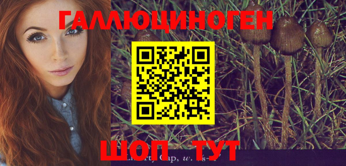 Псилоцибиновые грибы ЛСД Невинномысск