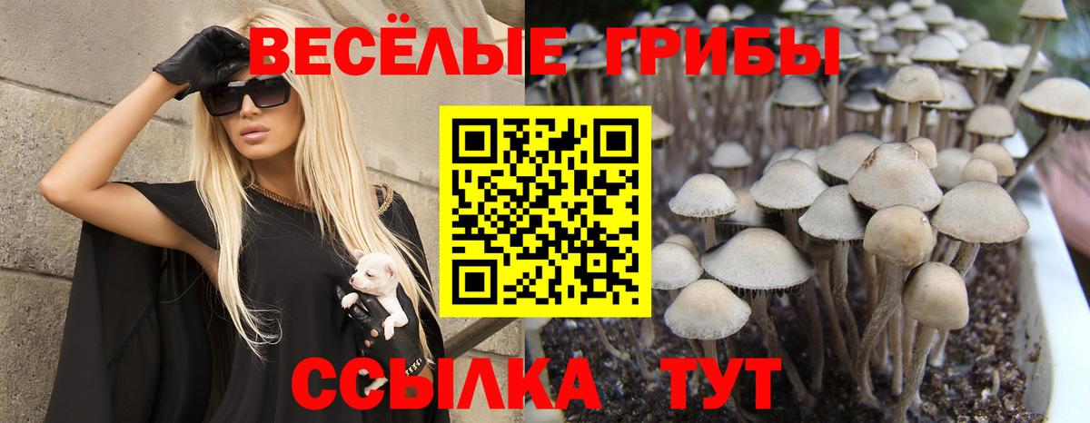 Галлюциногенные грибы Magic Shrooms Невинномысск