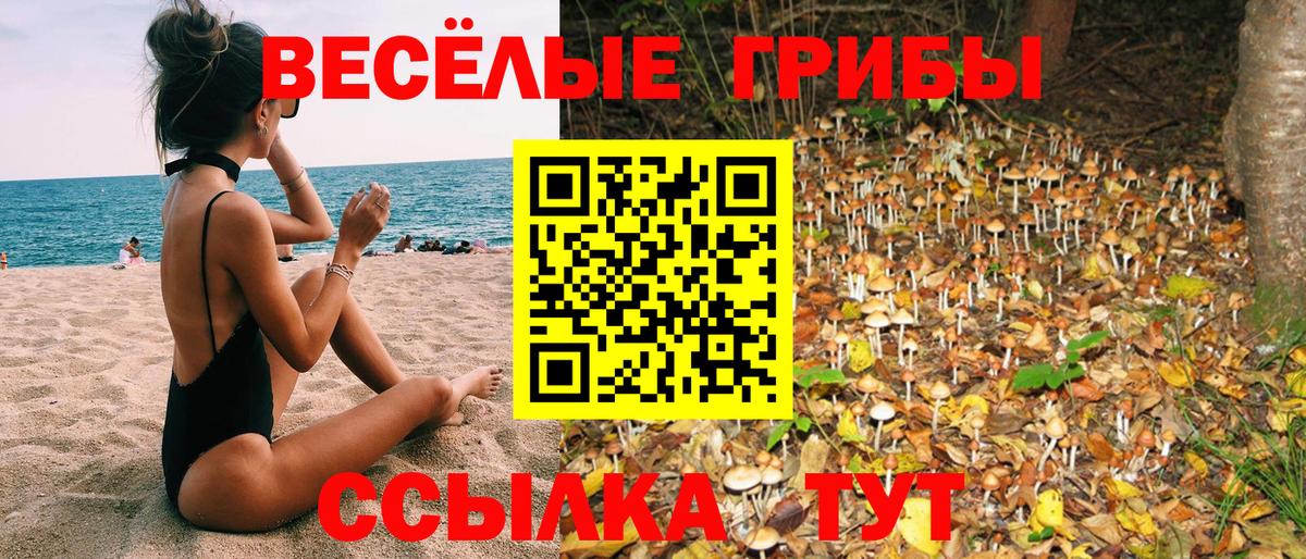 закладка  Галлюциногенные грибы мицелий  Невинномысск  Галлюциногенные грибы MAGIC MUSHROOMS 